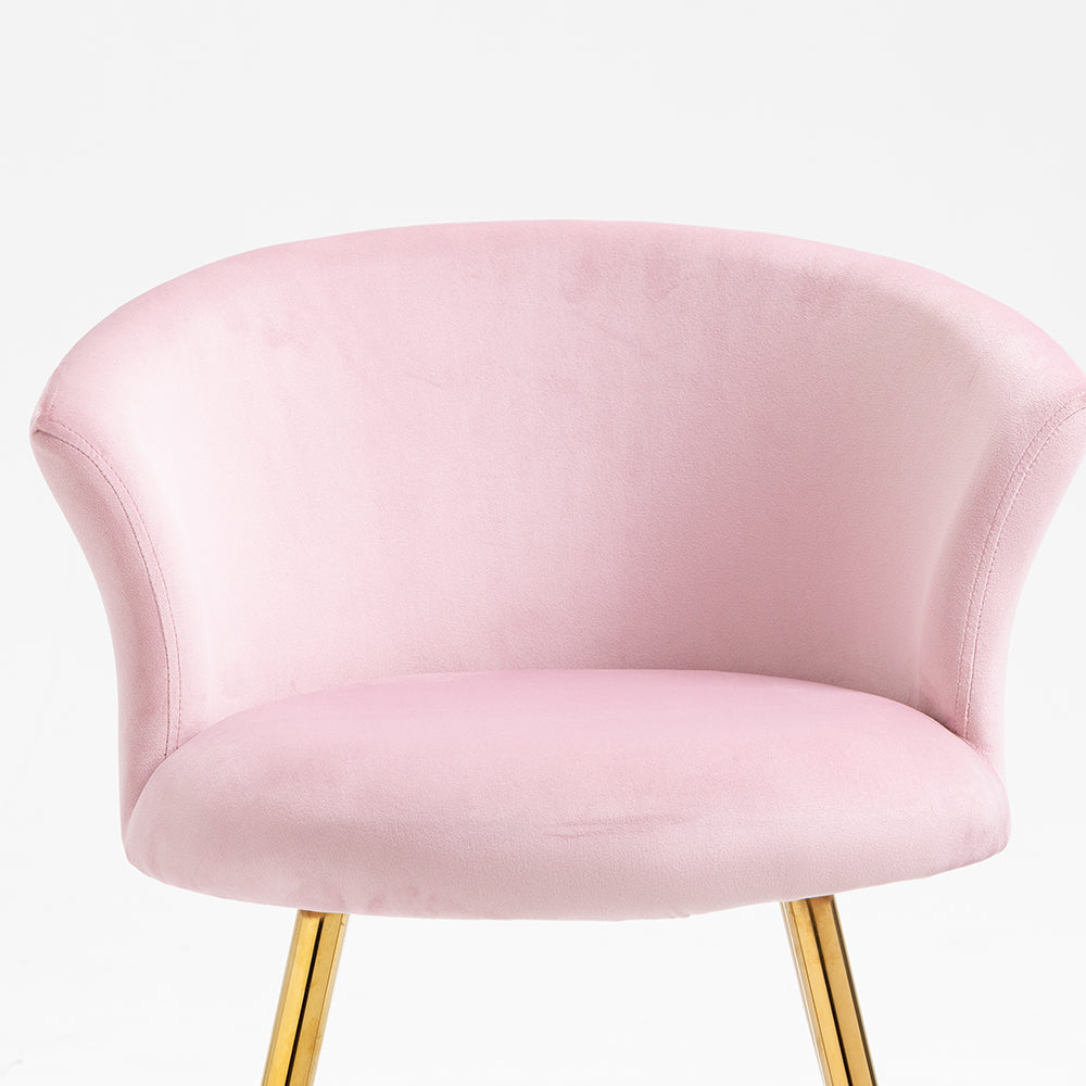 Kylie Set of 2 Pink Velvet Dining Chairs